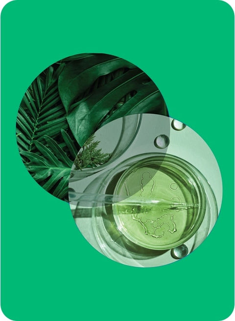 Dermatologist-Tested Formulas