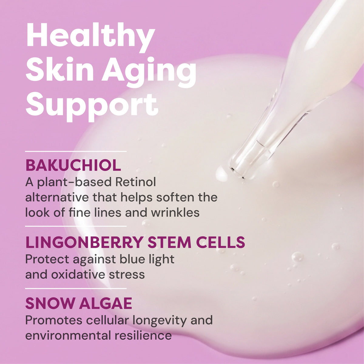 Bakuchiol Longevity Serum — key ingredients and what they do